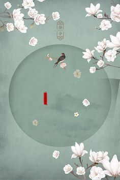 含羞草研究所2023隐蔽入口